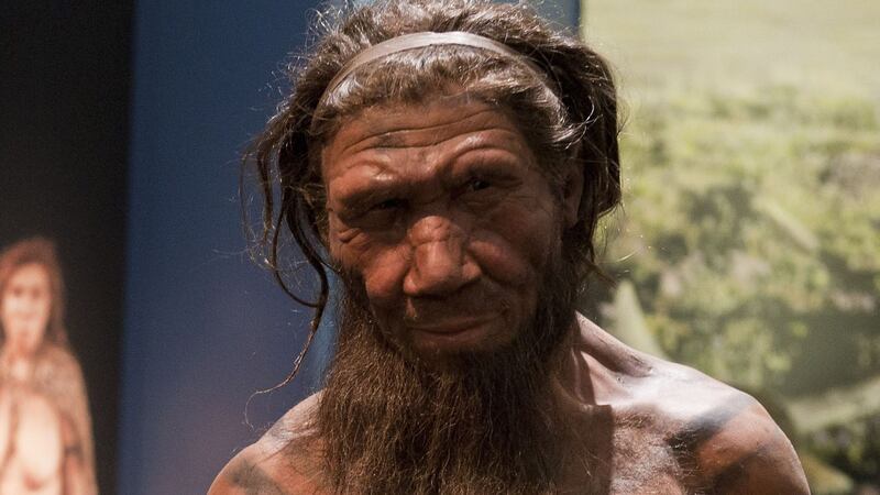 It is thought one Neanderthal was trying to relieve an impacted tooth.