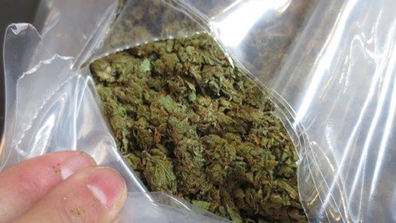 A man has been arrested after cannabis worth more than 1.1 million euro was found in a van at Dublin Port