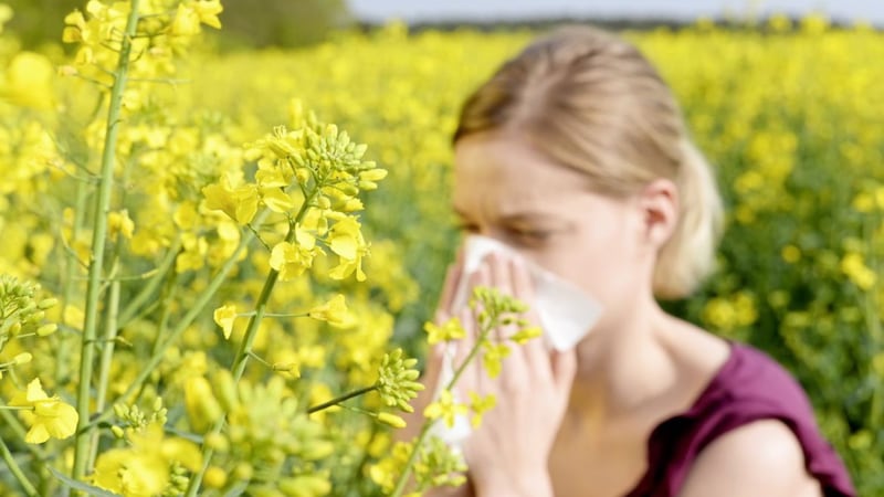 For many people, summer signals sneezing, itchy eyes and a host of other uncomfortable hay fever conditions 