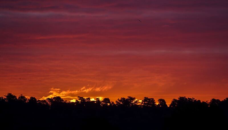 The sun rises over fields near Cookham, Berkshire 