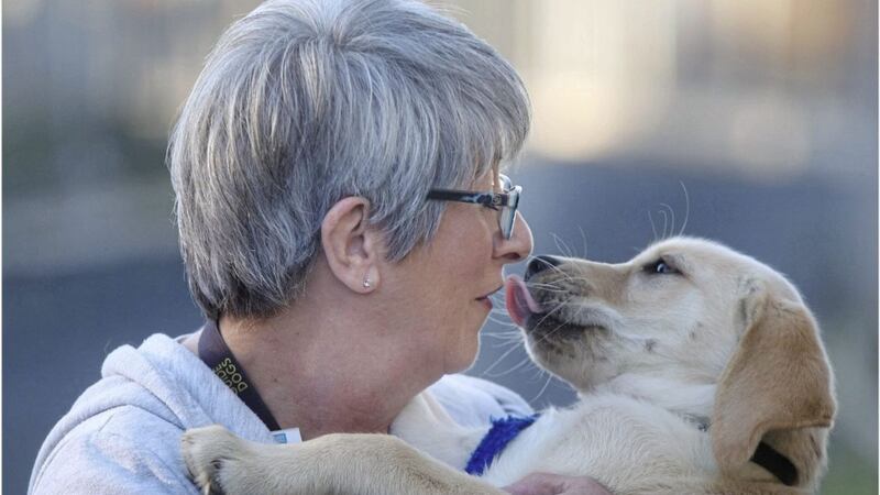 Lorna Boyde with puppy Frank, who is the 200th puppy to be &#39;puppy walked&#39; in Northern Ireland. Picture by Hugh Russell 