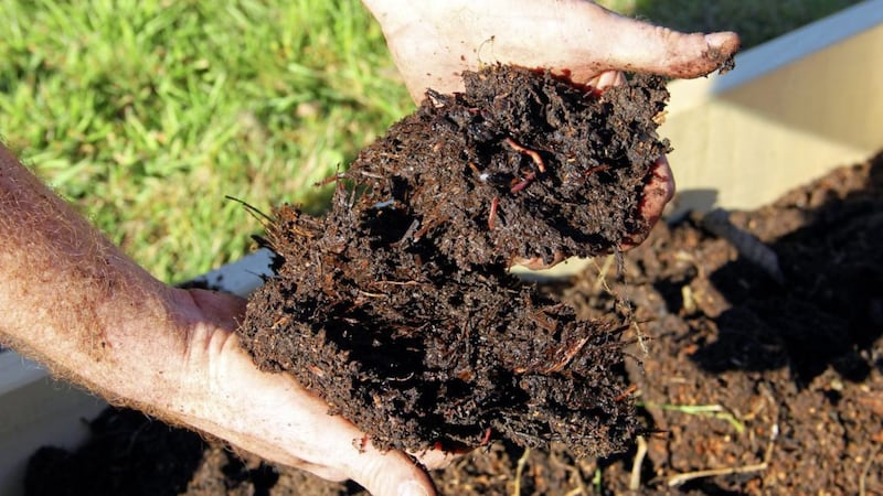 Fertilise and condition your soil with homemade compost 