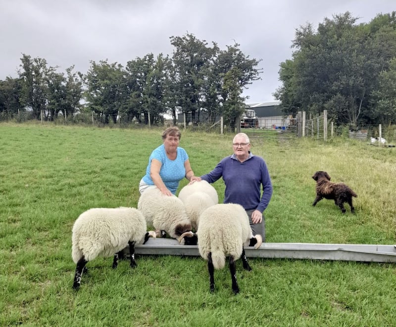 Foster carers Shirley and Trevor Blair of Northern Ireland on their smallholding 