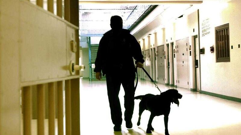 A drugs sniffer dog and handler make a random search of a remand house at Maghaberry Prison 