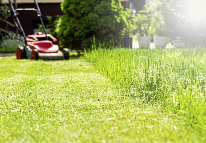 Undated Handout Photo of someone mowing the lawn. See PA Feature GARDENING Hay Fever. Picture credit should read: Alamy/PA. WARNING: This picture must only be used to accompany PA Feature GARDENING Hay Fever.. 