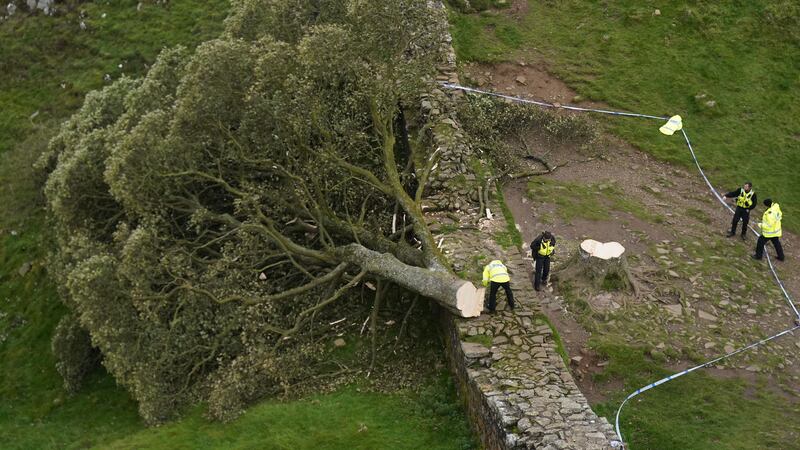 Police officers look at the felled tree at Sycamore Gap, next to Hadrian’s Wall, in Northumberland.