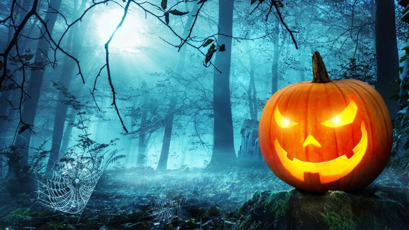 If you go down to the woods today... there&#39;ll be plenty of spooky goings on to scare the life out of you 