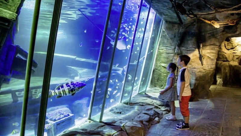 The Exploris aquarium in Portaferry. 