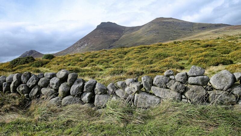 Dry stone walls in the Mourne Mountains are known as &#39;ditches&#39;. Picture by Mal McCann 