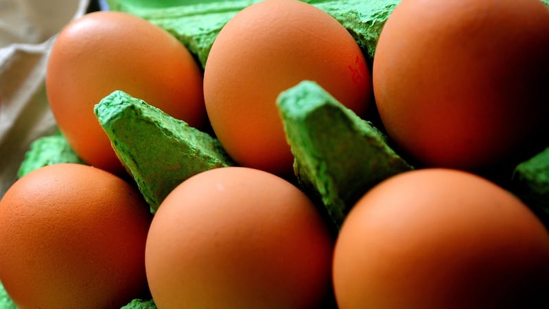 The primary sources of dietary choline are found in beef, eggs, dairy products, fish and chicken.