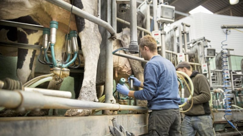 FARMERS for Action (FFA) has issued a warning to dairy farmers considering term contracts for a large or small portion of their milk. 