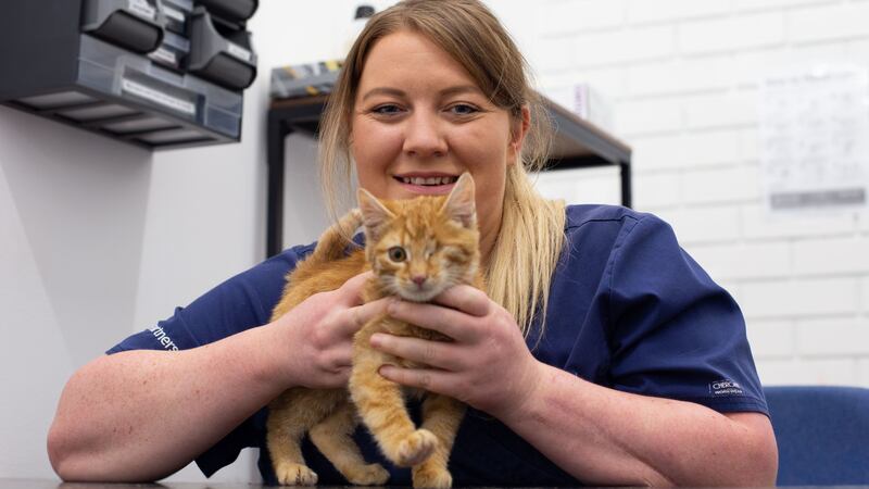 Pirate was not expected to last the night after being found with serious wounds at an allotment in County Durham.