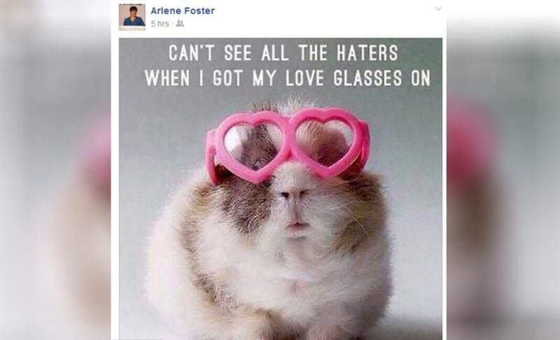 The DUP leader posted a picture on Friday of a guinea pig with rose-shaped pink glasses alongside the message &quot;Can't see all the haters when I got my love glasses on&quot;&nbsp;