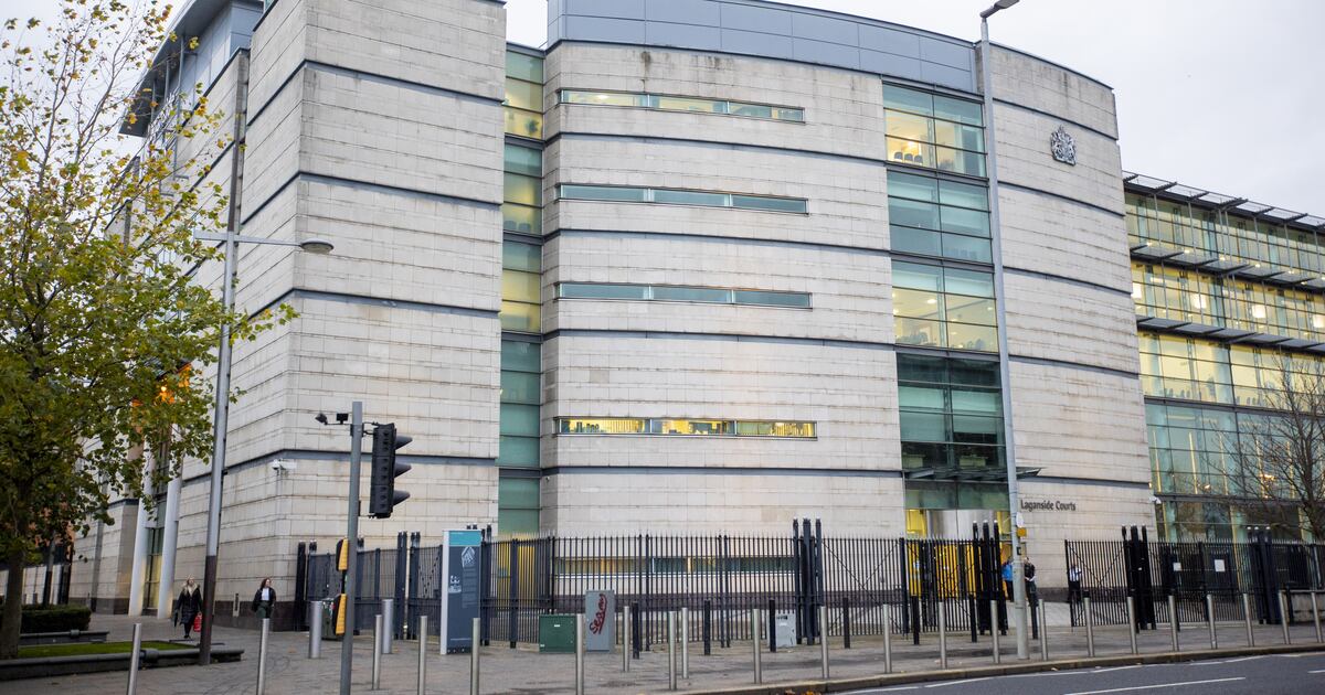 Suspended sentence for Belfast woman over dog attacks which injured toddler and man – The Irish News
