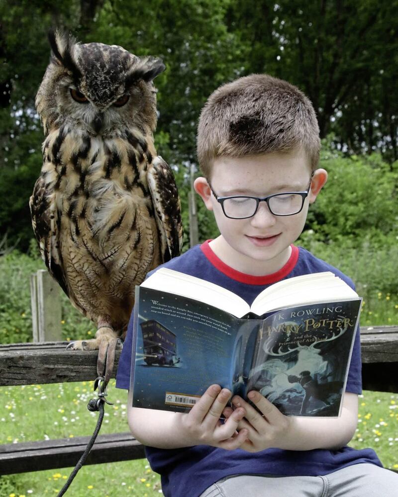 Harley and Tyler tackle the first book of their summer reading challenge at the World of Owls Wildlife Sanctuary in Randalstown, Co Antrim 