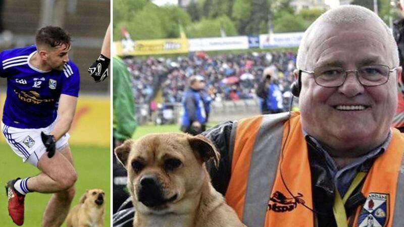 The dog in question nips at the heels of Cavan's Niall Murray and Monaghan's Kieran Hughes during their Ulster SFC quarter-final. Mickey Graham sr (right) pictured with the dog after Cavan - managed by his son, Mickey jr - had defeated Monaghan