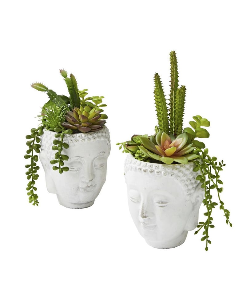 Brilliant Buddha Head with Succulent, available in Female and Male, Joe Browns