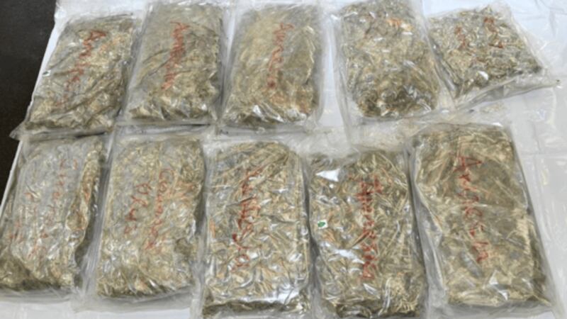 Cannabis seized during Friday's NCA operation in England. PICTURE: NCA