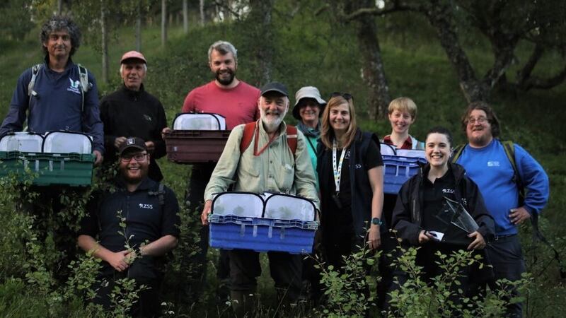 Conservationists gather at the Cairngorms National Park ready to release the caterpillars (PA)