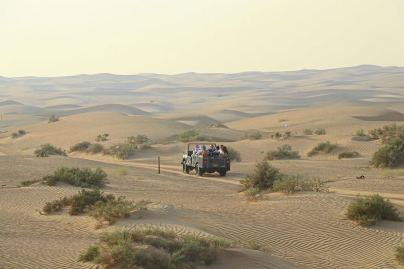 A Dubai desert safari in classic Land Rovers 