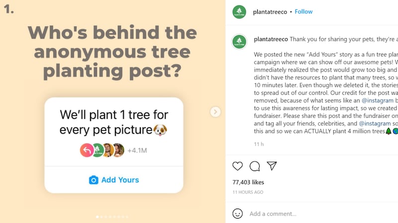 Millions of people joined the trend, posting their pet images on the platform with the caption ‘We’ll plant one tree for every pet picture’.