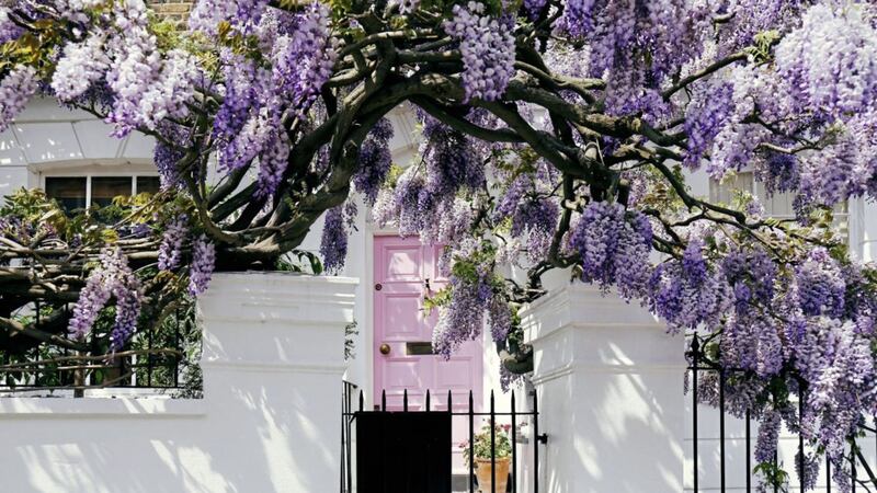 Adding some colour around your front door can be inviting to house buyers 