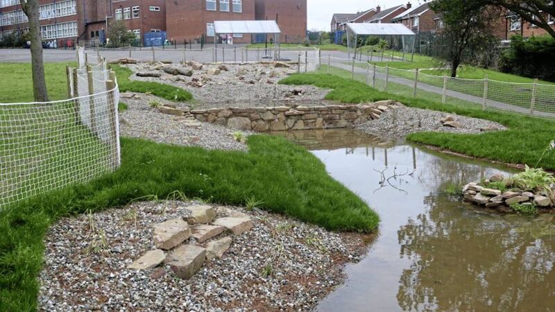 A &lsquo;Rainwater Garden&rsquo; has been established at Clandeboye Primary School in Bangor to help reduce the risk of flooding 