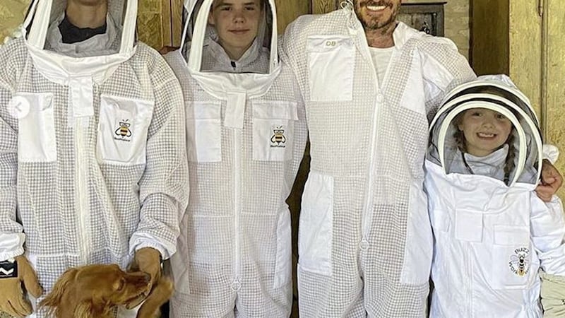 Beekeeper Beckham and his helpers. Picture from Instagram