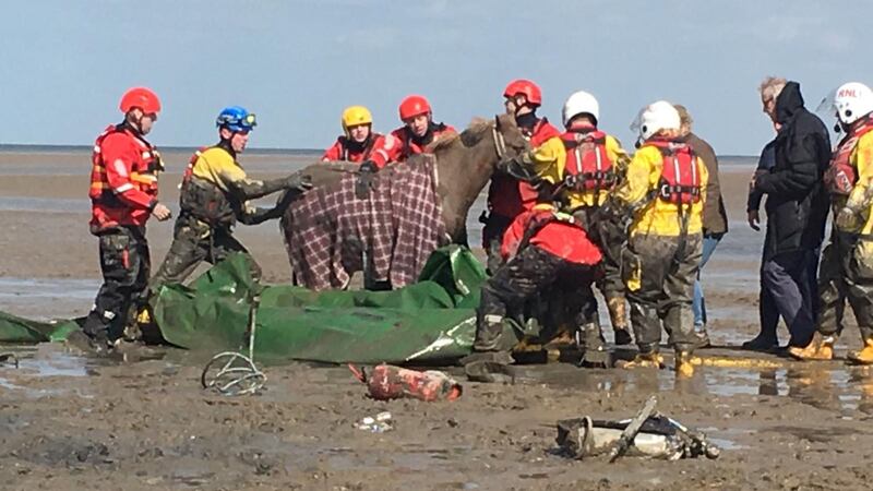 Two young riders and one horse was quickly rescued but it took a team of firefighters, coastguards and police four hours to free the second