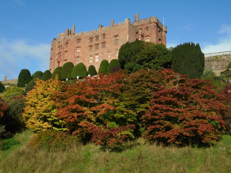 Acers starting to turn a deep red at Powis Castle, Powys in Wales (David Swanton/National Trust Images/PA)