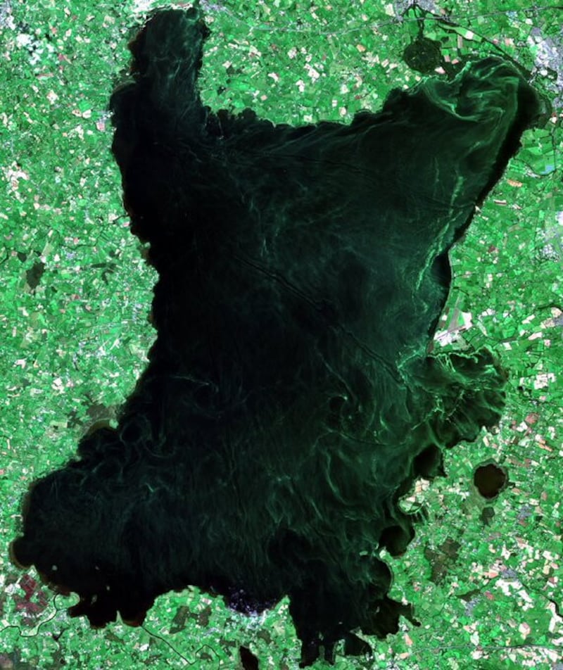 Satellite imagery showing the level of algae in Lough Neagh. Picture: Copernicus Open Access Hub