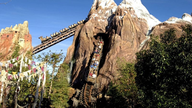 Expedition Everest &ndash; Legend Of The Forbidden Mountain in Animal Kingdom at Walt Disney World in Florida 