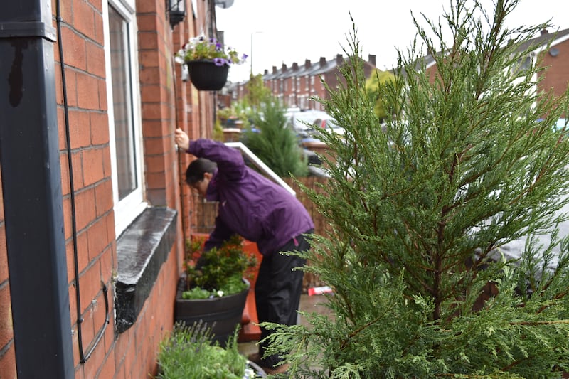 Researchers planted up the gardens for residents (