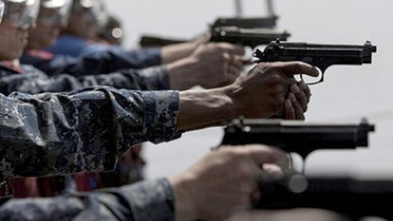 The Auditor General has criticised the current firearms licensing service. 