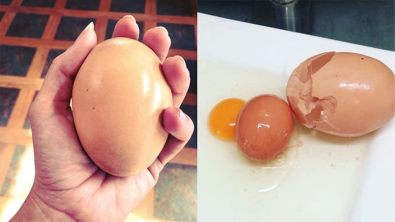 ‘We have never seen an egg inside an egg before.’