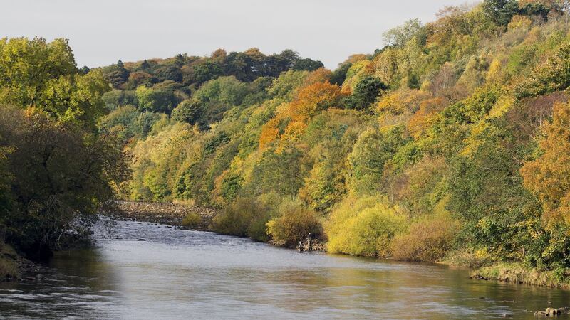 The Environment Agency calls for tougher penalties and more action from farmers and water companies to improve the quality of rivers and groundwater.