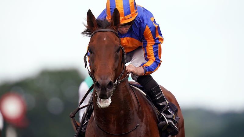 Aidan O'Brien's Paddington can further enhance his superstar status by adding Qatar Sussex Stakes victory to the Irish 2000 Guineas, St James's Palace and Eclipse crowns he has already claimed this year