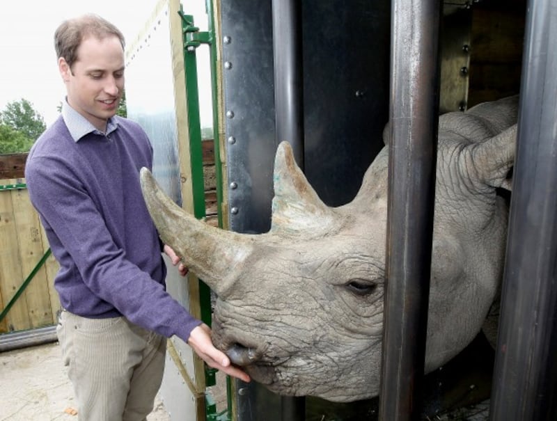 Prince William and rhino