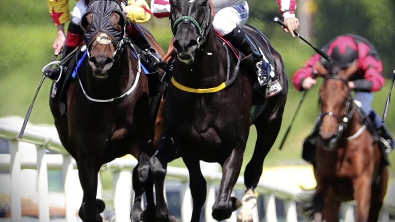 Down Royal&#39;s Summer Festival of Racing will be open to spectators on June 18 and 19 