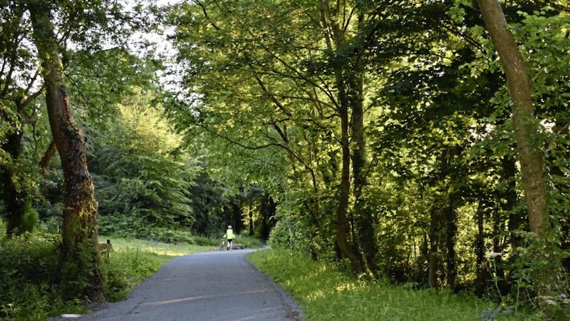 The Waterford Greenway, a 46km traffic-free cycle route built along a disused railway line between Waterford city and Dungarvan
