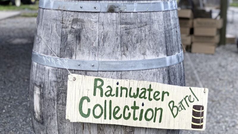 Rainwater is better for plants than tap water 