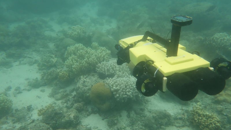 Autonomous drones are able to see coral-eating starfish and issue a fatal injection.