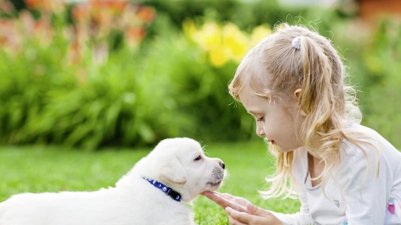 A little girl with a labrador puppy 