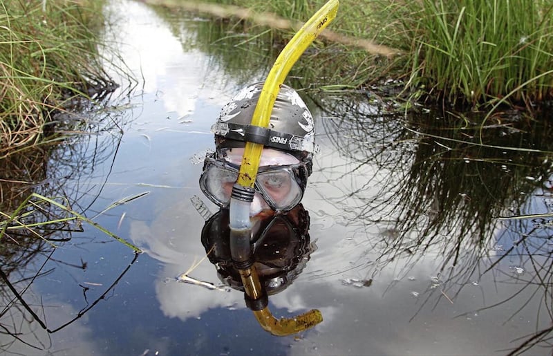 Bog snorkelling. Picture by Hugh Russell
