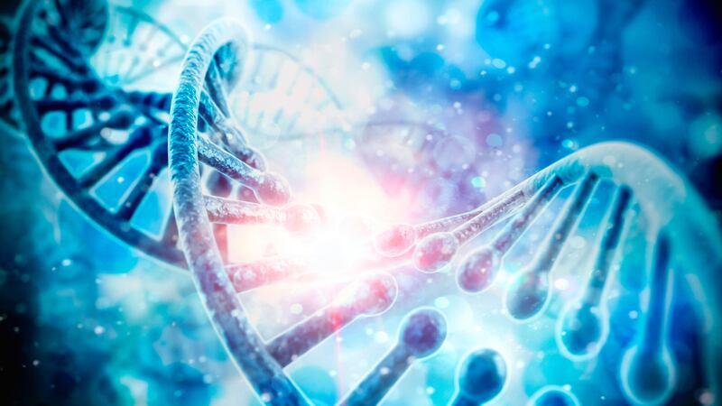 The researchers looked at images of more than 2,000 test subjects their corresponding DNA.