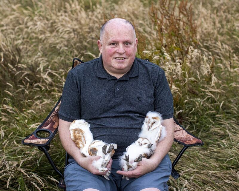 Volunteer nest minder Ciaran Walsh holding four owlets after they have been ringed close to the shores of Lough Neagh in Crumlin, Co. Antrim, last year.
