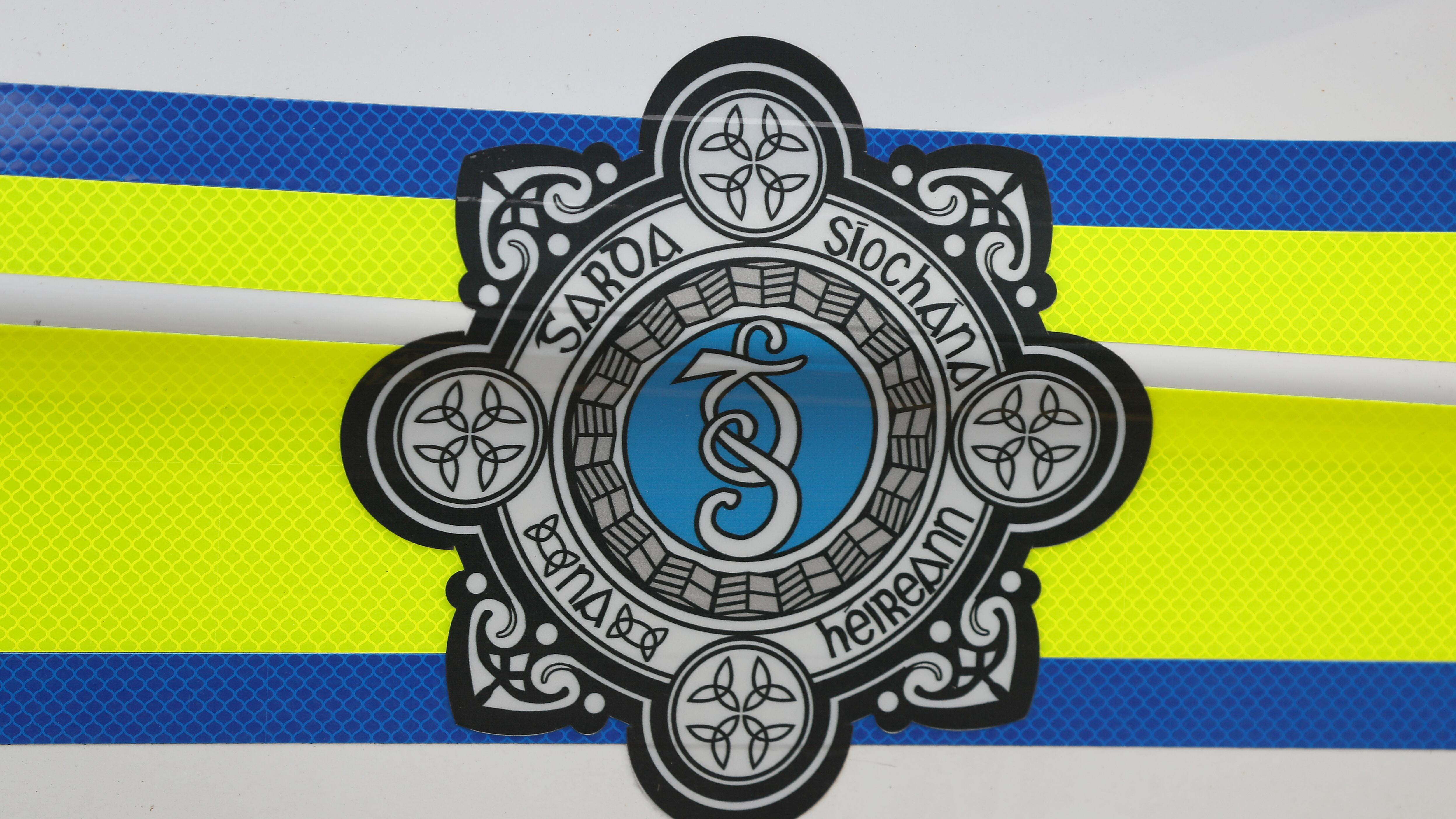The Garda logo on a Garda vehicle in Dublin.