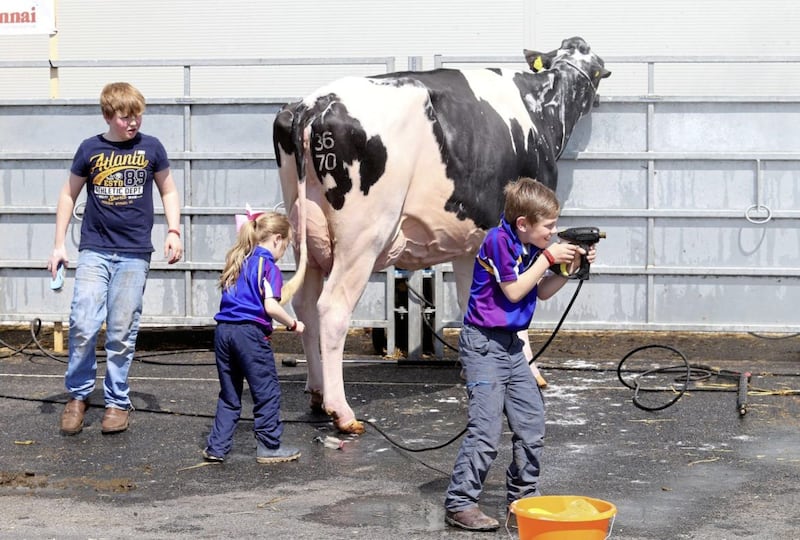 The 150th Balmoral Show Picture Mal McCann. 
