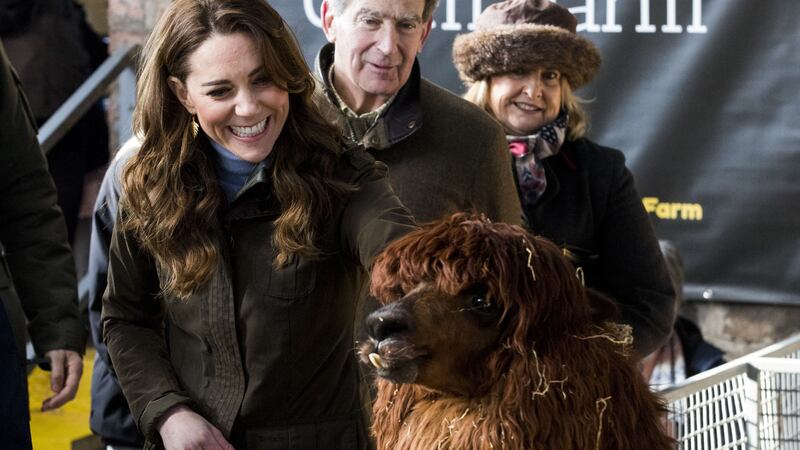 The Duchess of Cambridge was introduced to a variety of animals during the visit to a farm in Northern Ireland.
