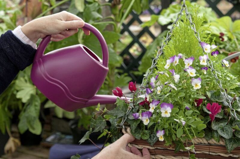 Undated Handout Photo of somebody using a small watering can to water a basket. See PA Feature GARDENING Advice Basket. Picture credit should read: Tim Sandall/RHS/PA. WARNING: This picture must only be used to accompany PA Feature GARDENING Advice Basket. 